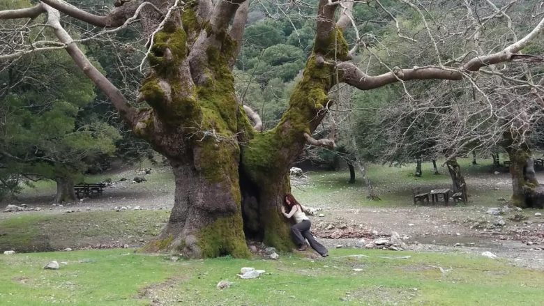 nature dance session- elissos