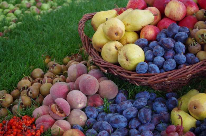 fruits on grass and in basket_fruits in crete_elissos