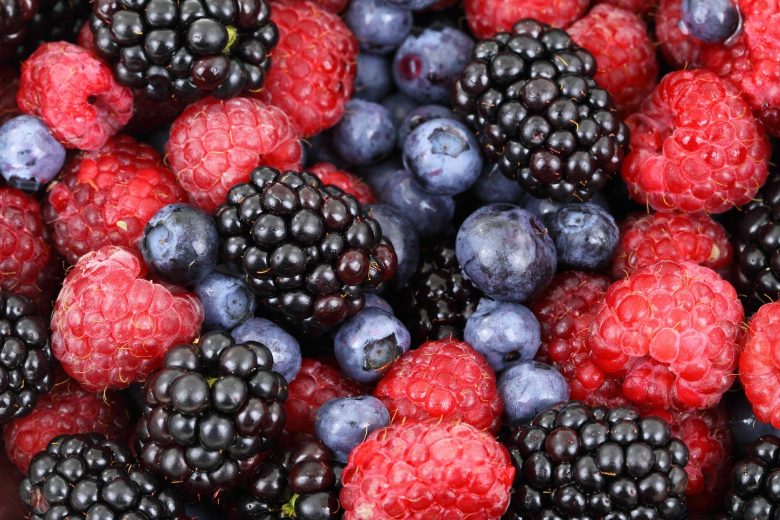 close up of mulberries_mulberries in crete_elissos