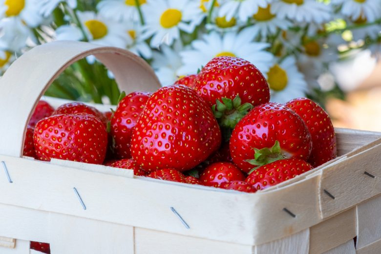 strawberries in a box_strawberries in crete_elissos