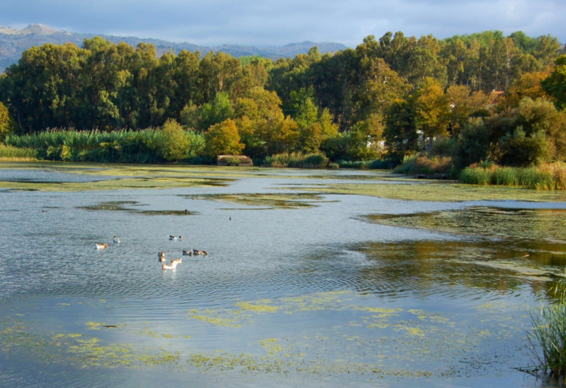 Agias Lake