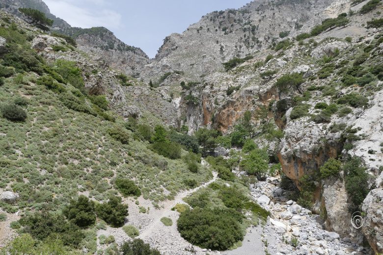 samaria gorge_nature tours in crete_elissos