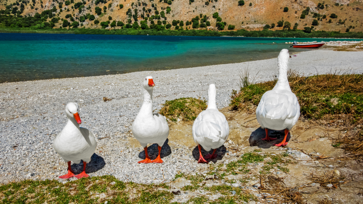 Lake Kournas