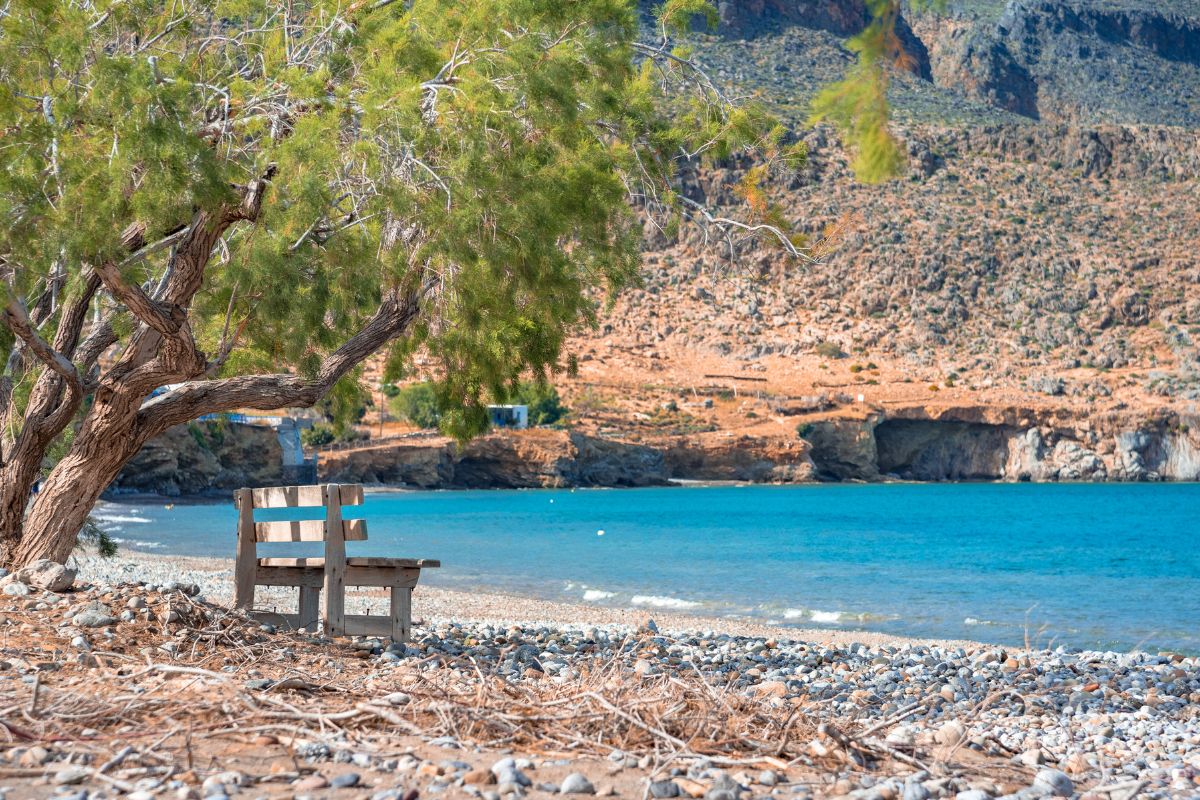 A peaceful view of Zakros Beach with a wooden bench under a tree on a pebbly shore. The clear blue water stretches out toward rugged cliffs in the background, creating a tranquil coastal scene.