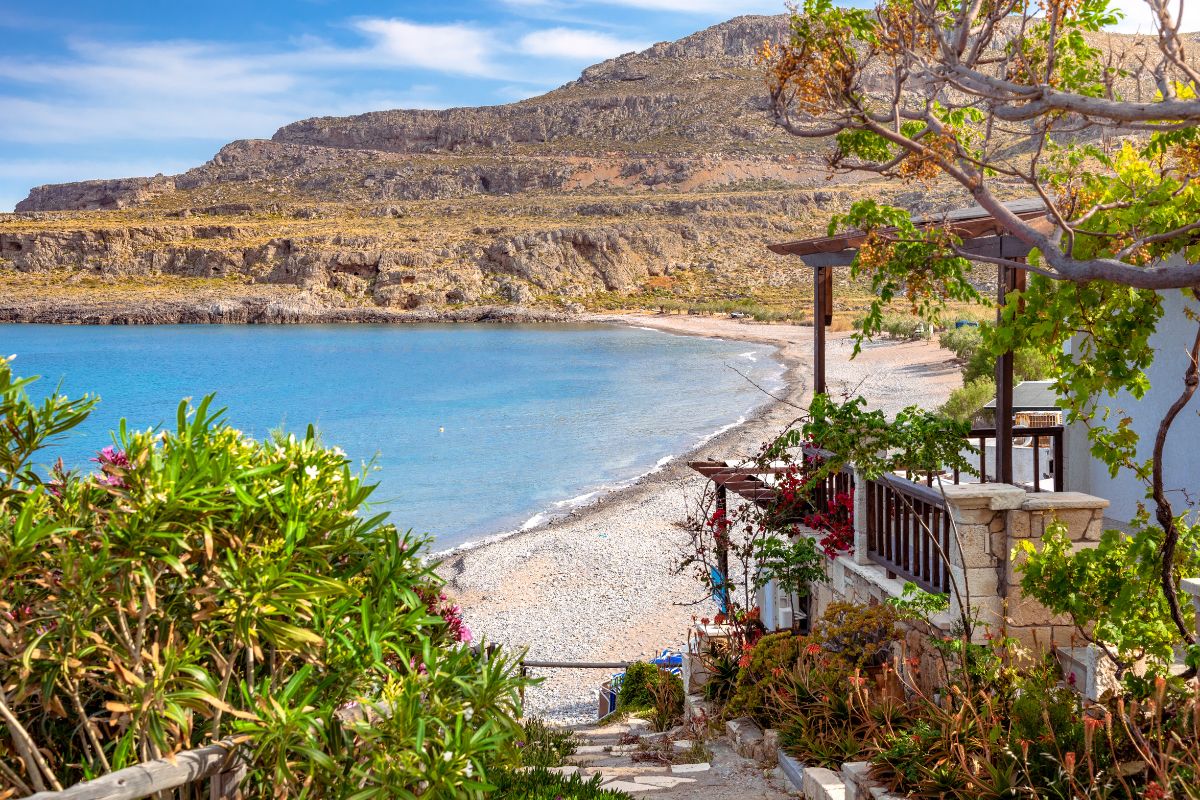 A view of Zakros Beach from a hillside terrace, with lush greenery and flowering plants framing the scene. The calm blue water and pebbly shoreline stretch toward rugged cliffs in the background, under a bright sky.