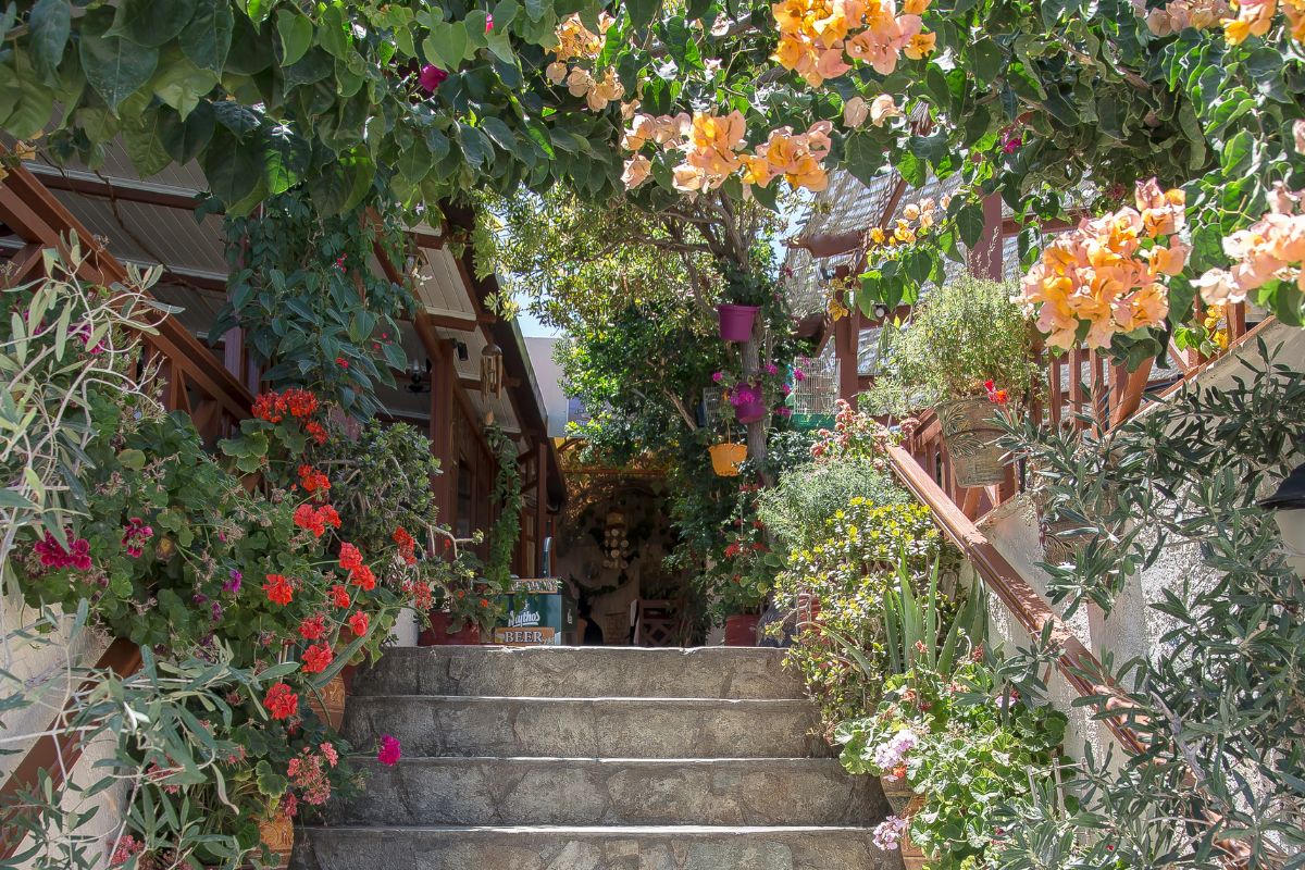 The image shows a charming stone staircase in Crete, framed by vibrant flowers and lush greenery. Colorful hanging pots and climbing plants decorate the entrance to a cozy outdoor space, creating a welcoming, garden-like atmosphere.