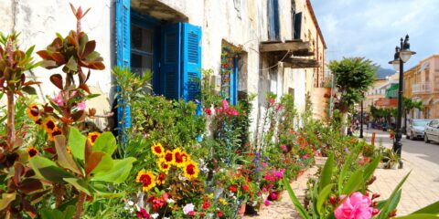 The image shows a vibrant street in Crete with colorful flowers lining the front of a rustic building featuring blue wooden shutters. The scene is lively with greenery, flowers in full bloom, and a peaceful street in the background.