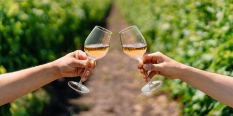 Two people clinking glasses of white wine in a vineyard, with lush green vines in the background.